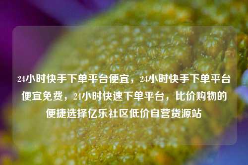 24小时快手下单平台便宜，24小时快手下单平台便宜免费，24小时快速下单平台，比价购物的便捷选择亿乐社区低价自营货源站  第1张